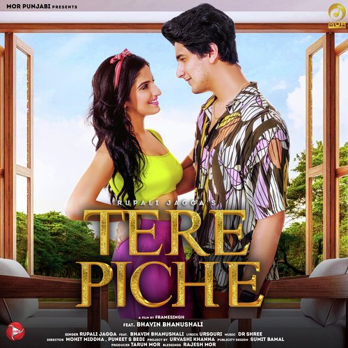 Tere Piche Poster