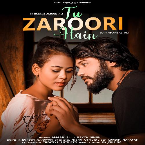 Tu Zaroori Hai Poster