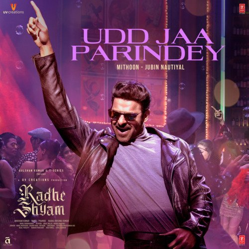 Udd Jaa Parindey Poster