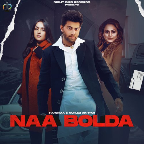 Naa Bolda Poster