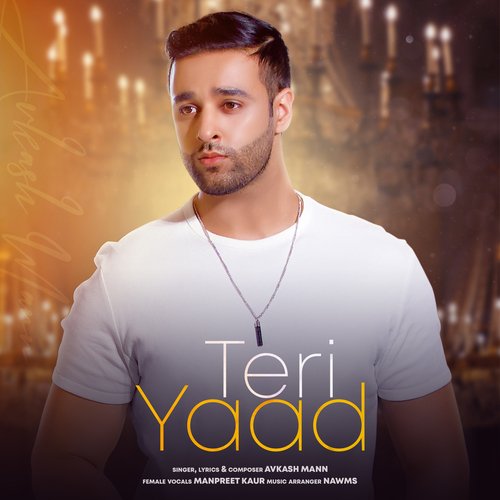 Teri Yaad Avkash Mann Poster