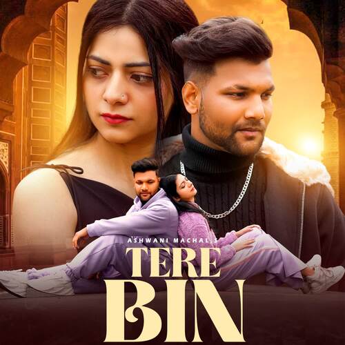 Tere Bin Ashwani Machal Poster