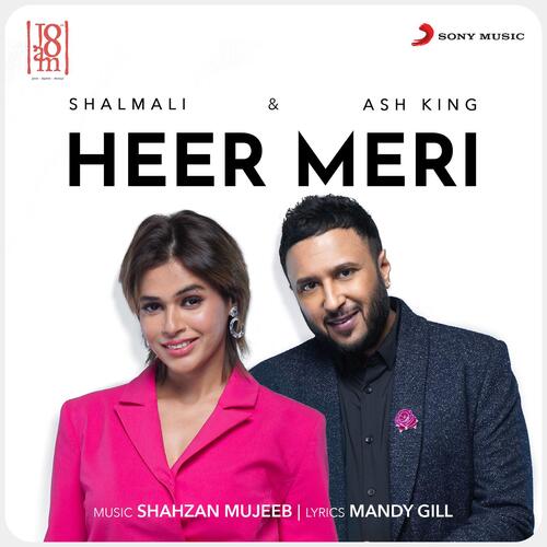 Heer Meri Poster