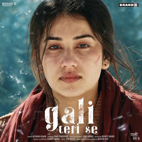 Gali Teri Se Poster