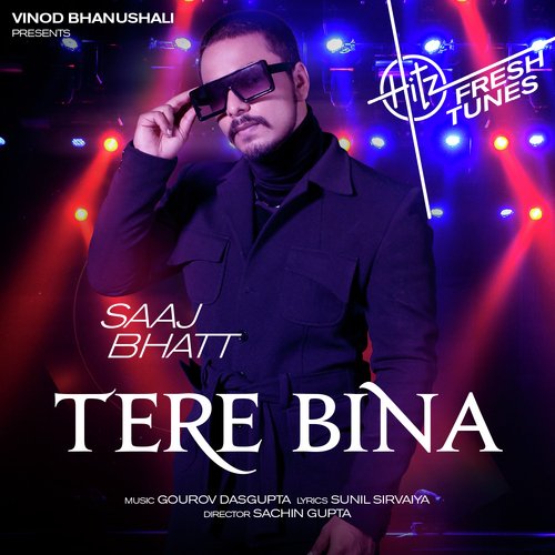 Tere Bina - Saaj Bhatt Poster