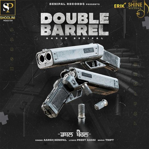 Double Barrel Poster