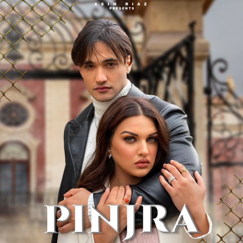 Pinjra Poster