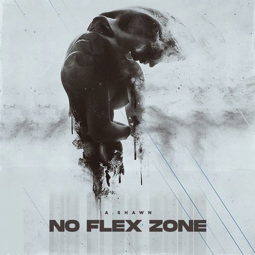 No Flex Zone Poster