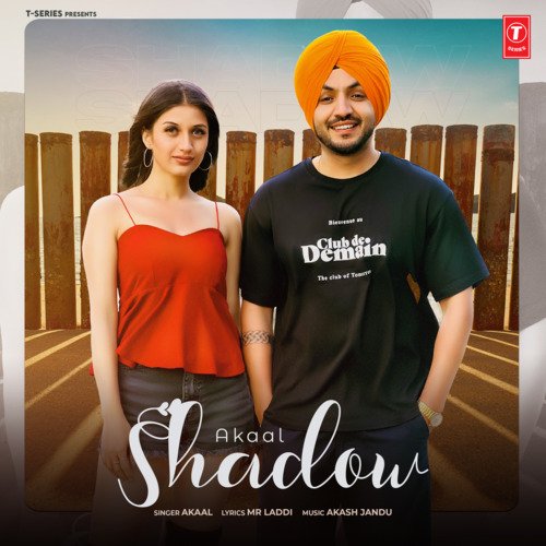 Shadow Akaal Poster